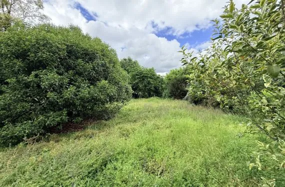 Terrain à bâtir de 533 m² à TOULOUSE - 31200 (31)