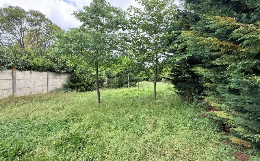 Projet de construction d'une maison 110 m² avec terrain à TOULOUSE - 31200 (31)